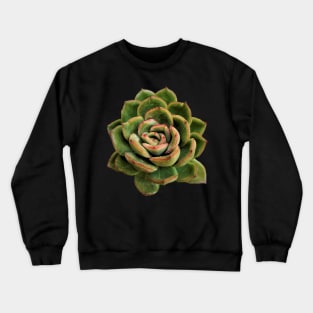 Echeveria Red tips Crewneck Sweatshirt